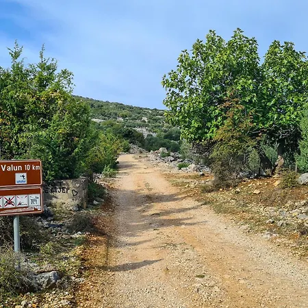 Amorino By Interhome *